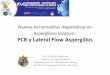 Nuevas herramientas diagnósticas en Aspergilosis invasiva ... · Nuevas herramientas diagnósticas en Aspergilosis invasiva : PCR y Lateral Flow Aspergillus Dra. Paulette Legarraga