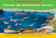 Peces de estanque sanos - SERA Argentinaseraargentina.com.ar/manuales_sera/estanque_jardin/peces_de... · Consulte en su tienda especializada los peces que se pueden combinar sin