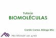 Tutoría BIOMOLÉCULAS - … · Haga un cuadro donde relacione cada una de las biomoléculas (ácidos nucleícos, proteínas, glúcidos, lípidos, vitaminas, sales, iones.) con el