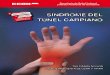 SÍNDROME DEL TÚNEL CARPIANO - …tusaludnoestaennomina.com/.../2014/06/Sindrome-del-tune-carpiano.pdf · SÍNDROME DEL TÚNEL CARPIANO 3 Las manos son una de las partes más complejas