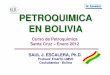 Profesor Em érito UMSS Cochabamba - Boliviasomossur.net/documentos/urea_saul_escalera.pdf · El precio del gas sería de $US 0,20 por millar de pies cúbicos. Dirección de Gas 