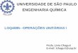 UNIVERSIDADE DE SÃO PAULO ENGENHARIA …bizuando.com/material-apoio/ope-uni1/Aula2...Caracterização de Partículas Sólidas Importante porque muitos são os produtos e matérias