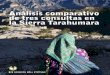 Análisis comparativo de tres consultas en la Sierra …kwira.org/wp-content/uploads/Consultas-Tarahumara_FINAL.pdf · 5. Análisis comparativo de las experiencias de consulta 6