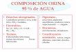 COMPOSICIÓN ORINA 95 % de AGUA - OpenCourseWare de …ocw.uniovi.es/pluginfile.php/1683/mod_resource/content/1/TEMA_5._F... · COMPOSICIÓN ORINA 95 % de AGUA ... Estrechamiento