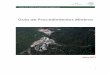 Guía de Procedimientos Mineros - economia.gob.mxeconomia.gob.mx/.../mineria/GuiadeProcedimientosMineros.pdf · Las acciones en este sentido, ... involucradas en la actividad minera