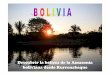 Descubierta de la Amazonia - es.labolivie-en …es.labolivie-en-voyages.com/IMG/pdf/Descubierta_de_la_Amazonia-2.pdf · – Descubierta de la pampa beniana: Paseo a pie y en barco