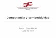 Competencia y competitividad - …siteresources.worldbank.org/INTLAC/Resources/AngelLopezHoher8.pdf · Encuesta a especialistas en economía del sector privado % de respuestas, promedio