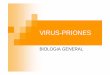 virus y priones [Modo de compatibilidad]ssanchez/virus y priones.pdf · Retrotranscriptasa o transcriptasa inversa. Enzimas Los virus pueden contener una mínima cantidad de enzimas