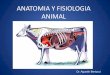 ANATOMIA Y FISIOLOGIA ANIMAL - UDE | FCA - Inicio€¦ · Desde afuera hacia adentro: • Duramadre ... anestésicos locales para insensibilizar abdomen y miembros ... El espacio