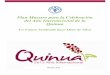 Plan Maestro AIQ - Quinua.pe, el portal que busca dar …quinua.pe/wp-content/uploads/2016/04/plan_maestro_es_quinua1.pdf · De esta manera, frente a la necesidad global de identificar