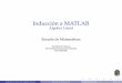 Induccion a MATLAB´ Algebra Lineal - Universidad …algebralineal/Induccion.pdf · I Sistemas de ecuaciones diferenciales lineales, etc. ... 2004 MathWorks aﬁrmo que´ MATLAB fue