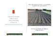 Instalaciones de riego por goteo - .REA DE AGRICULTURA Y GANADERA REA DE AGRICULTURA Y GANADERA