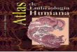Atlas de Embriología Humana123userdocs.s3-website-eu-west-1.amazonaws.com/d/e8/e6/... · partir de material embrionario humano, tales como láminas con vistas microscópicas, fotografías,