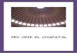 PEC CEIP EL CHAPATAL - Gobierno de Canarias · PEC CEIP EL CHAPATAL [ ... Documentos anexos . 1. INTRODUCCIÓN ... padres y madres y del alumnado, la junta de delegados y, en su caso,