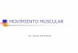 MOVIMIENTO MUSCULAR - Dra. Carmen Aída Martínez · Presenta estructuras denominados BANDAS DE CONTRACCION,
