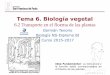 Tema 6. Biología vegetal - dpbiologia.weebly.comdpbiologia.weebly.com/uploads/2/1/5/5/21553524/gtp_t6.biología... · El floema conecta partes de la planta donde se necesita el aporte