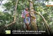 CIFOR en América Latina · Las plantaciones de rotación corta ocasionan cambios ... La silvicultura podría jugar un papel crucial en el manejo forestal sostenible en los trópicos,
