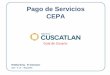 Pago de Servicios CEPA - netbanking.citibank.com · Guía de Usuario NetBanking - El Salvador ... OPERACIONES >> PAGOS >> PAGOS DE SERVICIO : disponible para el pago de Facturas CEPA