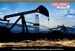 Filtros para la industria del petróleo y gas en tierra Brochures/Form222S.pdf · atrás, eliminamos esos problemas. 