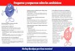 Preguntas y respuestas sobre los …dshs.texas.gov/.../educational/antibio_edu_spanish.pdfPreguntas y respuestas sobre los antibióticosPreguntas y respuestas sobre los antibióticos