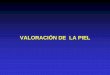 VALORACIÓN DE LA PIEL - ugr.esmarroyo/documentos nuevos/piel.pdf · Evaluación en Fisioterapia: ... • CHAITOW L. Palpación y valoración de la piel en Terapia Manual: ... •