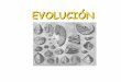 EVOLUCIÓN - docencia.unt.edu.ar · concepciones: fijismo y evolucionismo. 1. El Fijismo ... El Lamarckismo 1º Cambio ambiental: La aridez provoca escasez de hierba en el suelo