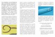 Los nematodos y el ecosistema del suelo: Aspectos …nematologia.com.br/wp-content/uploads/2014/01/texcoco.pdf · la cadena alimentaria del suelo, incluido daño a las plantas. 