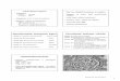 Nefropatia lupica Per la classificazione si valuta. Pollastro. GN secondarie. 12.13.pdf · 1 Nefropatia lupica • Incidenza – clinica 35-90% – istologica 90% • Comparsa: primi