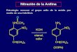 Nitración de la Anilina - [DePa] Departamento de ...depa.fquim.unam.mx/amyd/archivero/AMINAS20143aPARTE_26928.pdf · Preparación de las amidas Las aminas no reaccionan con los ácidos