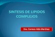 Dra. Carmen Aída Martínez · Esfingolípidos Eicosanoides . Funciones especializadas: Componente del surfactante pulmonar (lecitina) Precursores de 2dos. Mensajeros hormonales