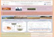 Presentación de PowerPoint - UPV Universitat … · para la valorización de efluentes acuosos derivados de la biomasa en hidrocarburos y compuestos ... económica de los procesos