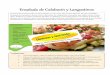 Ensalada de Calabacín y Langostinos - …dietistasynutricion.com/web/wp-content/uploads/2015/08/logo... · Salpimienta y saltéalos un par de minutos con una gota de aceite. Reservar