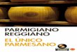 PARMIGIANO REGGIANO EL ÚNICO PARMESANO · El Parmigiano Reggiano de 24 meses combina muy bien con las recetas de ... nueces y sabe fenomenal con ciruelas ... • regular el uso de