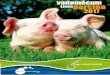 vademécum porcina 2017 - agvsaludanimal.com · Actinobacilosis, actinomicosis, coccidiosis, colibacilosis, gurma, infecciones respiratorias, necrobacilosis (caramelo, panadizo),