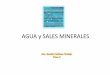 AGUA y SALES MINERALES - nutricion2013 · Clasificación de moléculas inorgánicas y orgánicas Moléculas inorgánicas: Agua (75 -85%) Sales minerales (2-3%) Ciertos gases (CO …