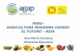 Perú: Agricultura moderna viendo el futuro - Asia (AGAP) · •Asociación Peruana de Productores y Exportadores de Mango/APEM •Instituto Peruano del Esparrago y ... exportación,