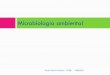 Microbiologia ambiental - docs.ufpr.brmicrogeral/arquivos/2013MICROAGUASOLOBio00… · Microbiologia da água Águas naturais Rios Estuários Oceanos Água potável Profa. Patricia