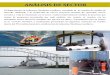 ANÁLISIS DE SECTOR - Autoridad Marítima de Panamá · fiscalizadores y de control, y los actores directos del cabotaje de carga y pasajeros. En el siguiente cuadro se presentan