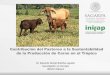 Contribución del Pastoreo a la Sustentabilidad de la Producción de Carne en … · 2018-09-03 · Investigador en Forrajes INIFAP-Tabasco. DESAFÍO DE LA INVESTIGACIÓN ... que