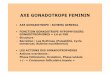 AXE GONADOTROPE FEMININ - medecine.ups-tlse.frmedecine.ups-tlse.fr/desc/fichiers/AXE GONADOTROPE FEMININ.pdf · axe gonadotrope feminin • axe gonadotrope : schema general • fonction