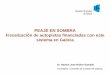 PEAJE EN SOMBRA Fiscalización de autopistas … · Consello de Contas de Galicia • Creado por la Ley Orgánica 1/1981, de 6 de abril, de Estatuto ... En resumen: ¿Se respetaron