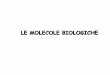 LE MOLECOLE BIOLOGICHE - scuolepie.it biologiche.pdf · glicosidico (ponte di O dopo liberazione di H20 tra due gruppi OH). Il legame glicosidico si forma tra il C 1 e C 4 o C 6