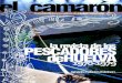 El Camarón. La revista de los Pescadores de Huelva …ignaciopalaciosesteban.es/wp-content/uploads/publicaciones/El... · Asociacion de Vecinos de la que fue primer ... Los directores