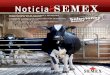 INVIERTE 5 PARA GANAR 10 - semex.com · INVIERTE 5 PARA GANAR 10 ... resumido y traducido del libro Large Dairy Herd Management 3rd.por Bernat Sales Noguera, ... (estatura, vigor,
