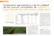 Evaluación agronómica y de la calidad de las nuevas ... · Evaluación agronómica y de la calidad ... 50/Vida Rural/15 de diciembre 2006. ... GxE (Componente de la varianza) 256,465