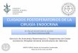 CUIDADOS POSTOPERATORIOS DE LA CIRUGÍA …chguv.san.gva.es/docro/hgu/document_library/servicios_de_salud... · Servicio de Anestesia Reanimación y Tratamiento del Dolor Consorcio