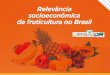 Apresentação do PowerPoint - agricultura.gov.br · fruticultura brasileira 2. Mapeamento dos indicadores socioeconômicos das regiões produtoras de frutas no frutas no Brasil 3