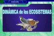 ECOLOGÍA - iespoetaclaudio.centros.educa.jcyl.esiespoetaclaudio.centros.educa.jcyl.es/.../dinamica_ecosistema_4eso.pdf · Ecosistema terrestre Ecosistema acuático Ecosistema de