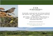 Estado actual de la diversidad de aves en los … Estado actual de la diversidad de aves en los bosques secos de Talara (El Alto, Lobitos y Pariñas) y plan de acción para su conservación