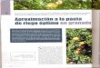 riegos.ivia.esriegos.ivia.es/ficheros/recursos/granado2_riego_optimo_granado_.pdf · nización para la Agricultura y la Alimen- ... (FAO). Sin embargo, para el cultivo del granado